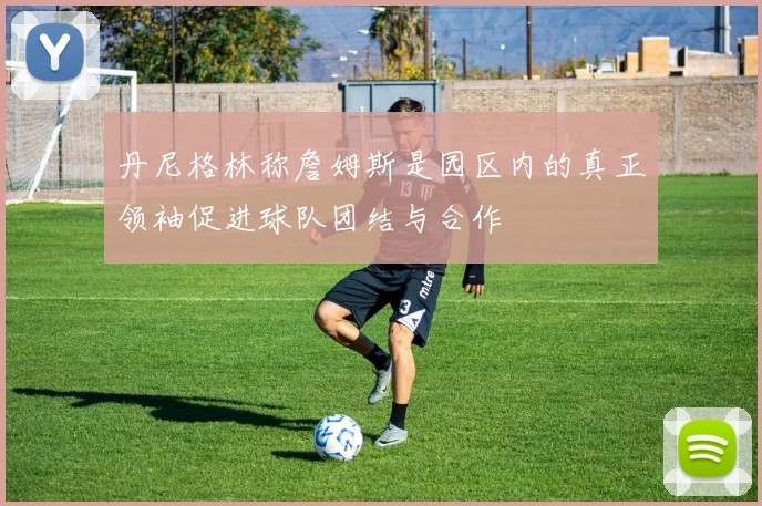 丹尼格林称詹姆斯是园区内的真正领袖促进球队团结与合作